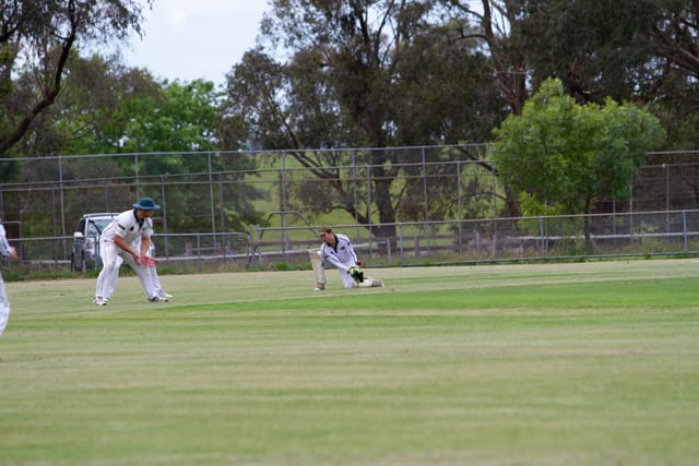 Cricket Div One Hallora v Neerim Dist - 06.11.2021
