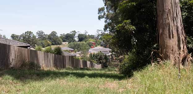 Bushfire waiting to happen