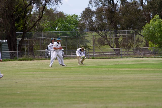 Cricket Div One Hallora v Neerim Dist - 06.11.2021