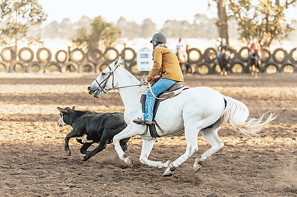 Shelley Ruff leads her beast around the course during the maiden event, riding Bulla Fergy.