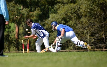 Cricket returns
