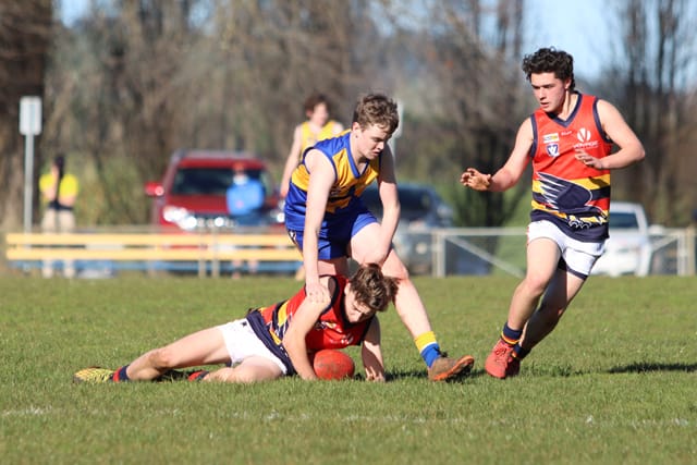 Football EDFL (U16.5's) Ellinbank Vs. Longwarry - 31.07.2021 