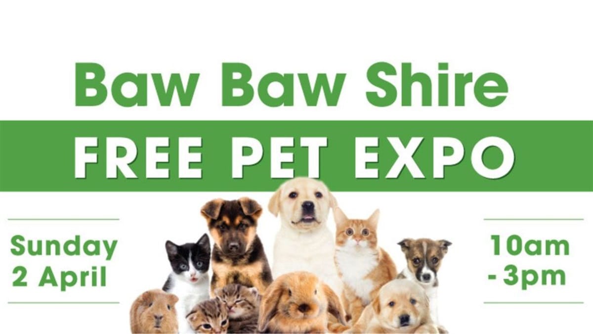 Fastest dog challenge at pet expo