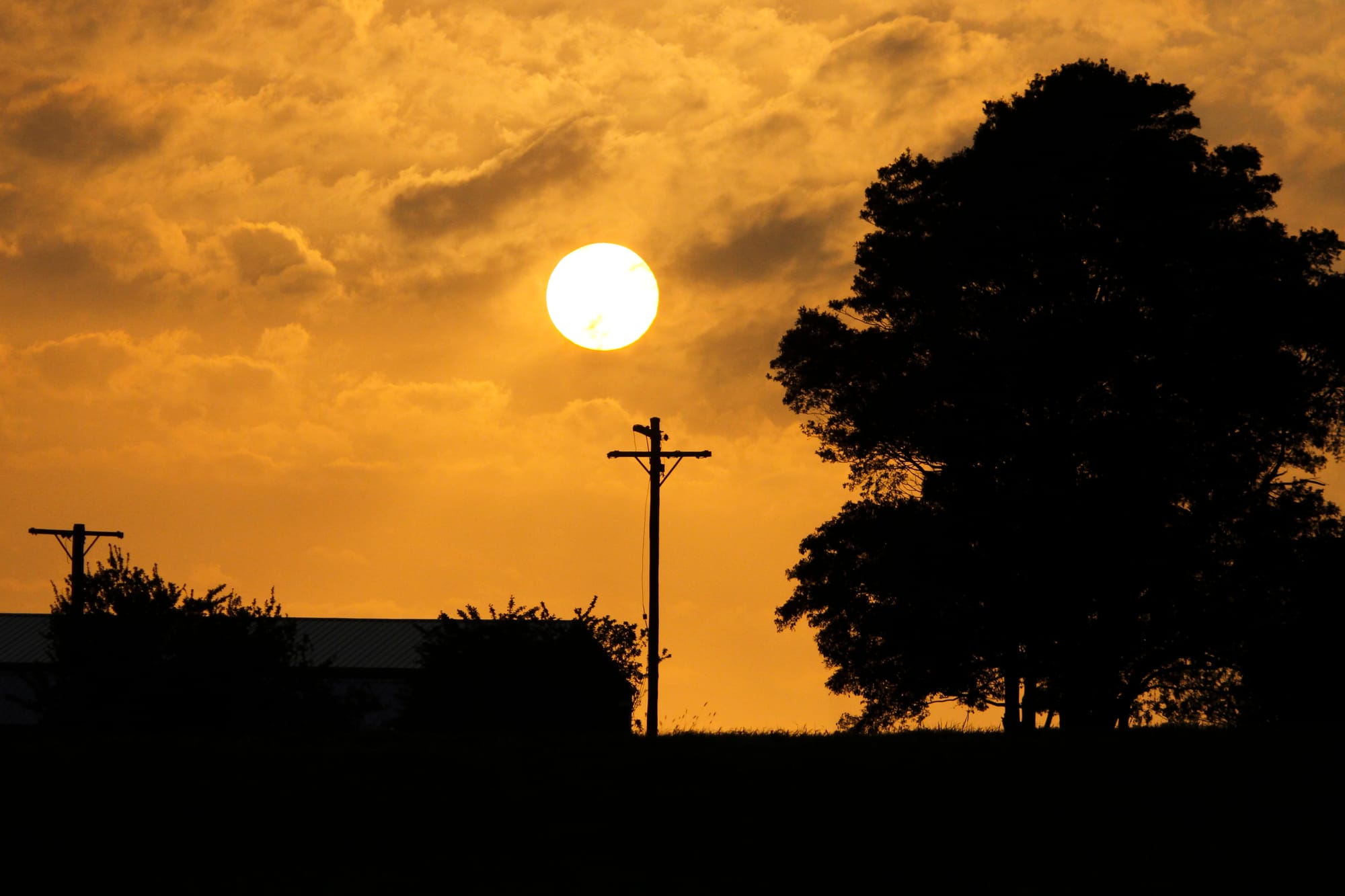 Driest February-March on record