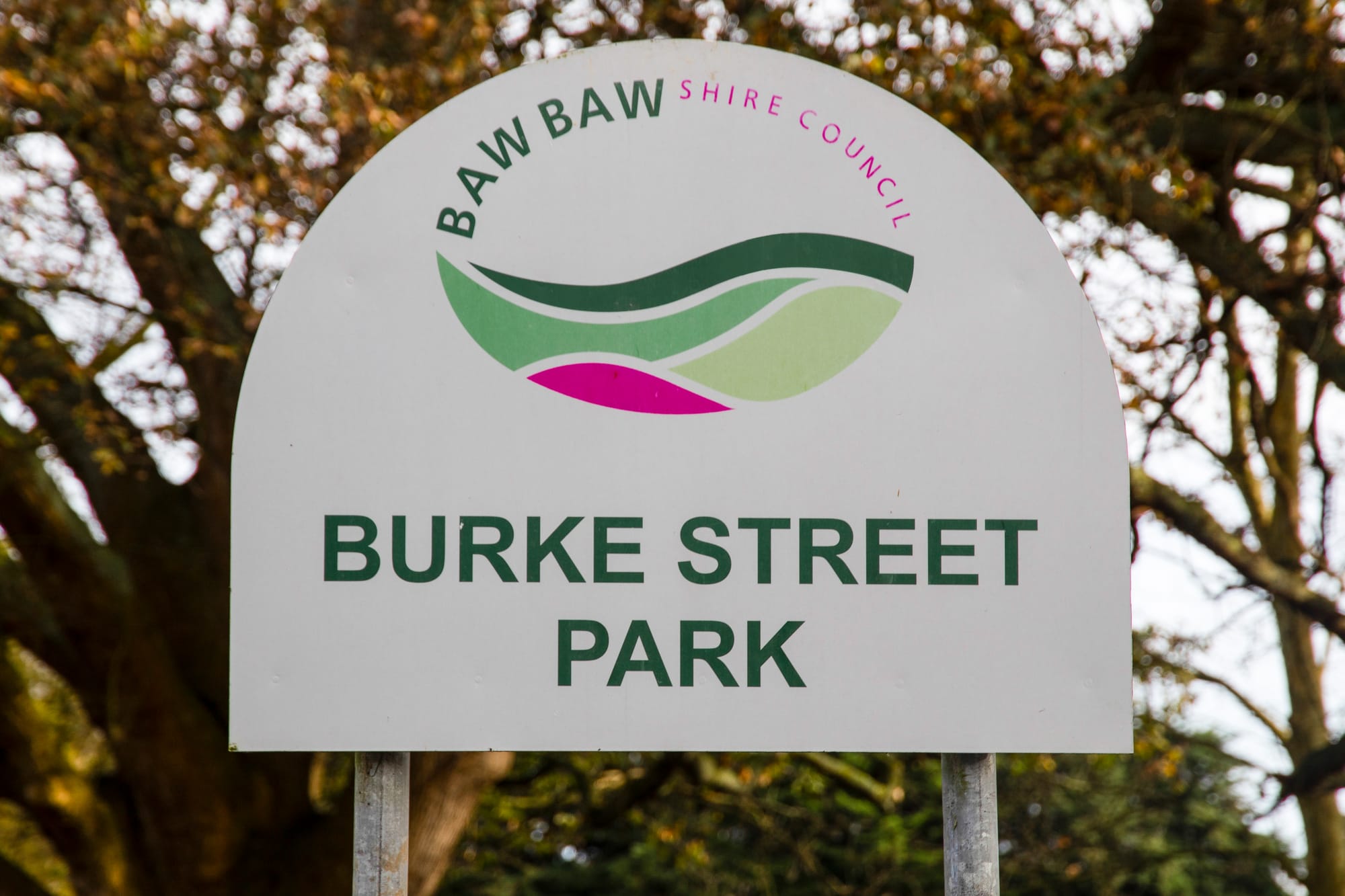 Summer market success