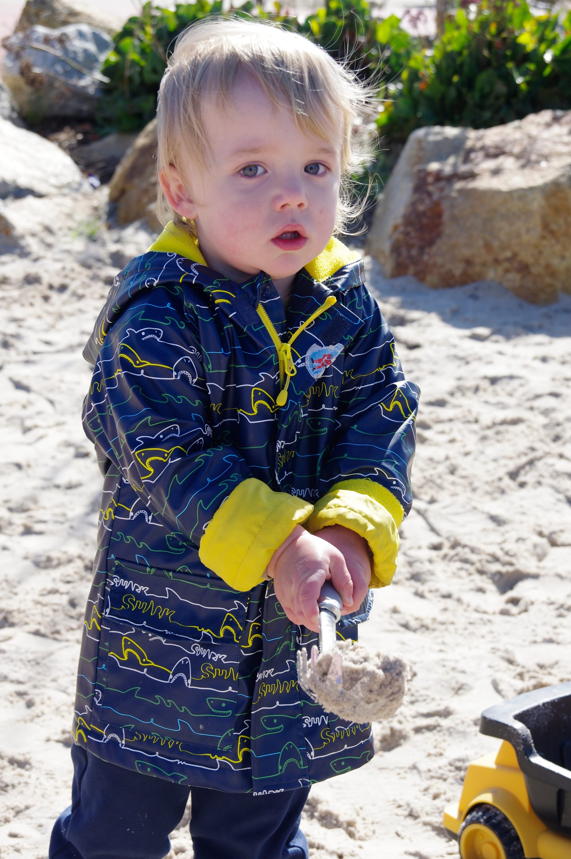 James is busy digging and loading a toy truck with sand at Drouin's pop-up playgroup.