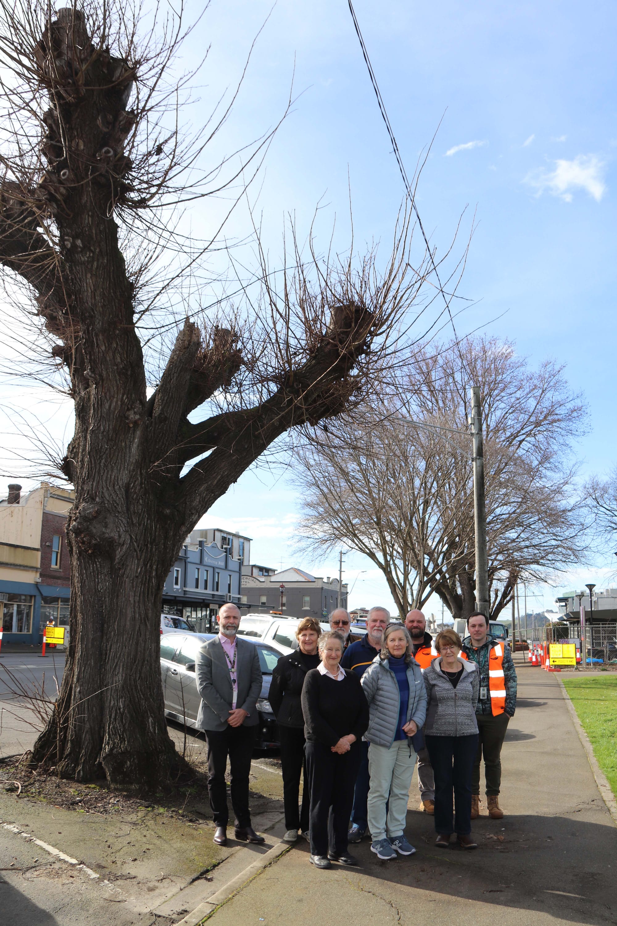 Queen St Trees - 16.08.2022