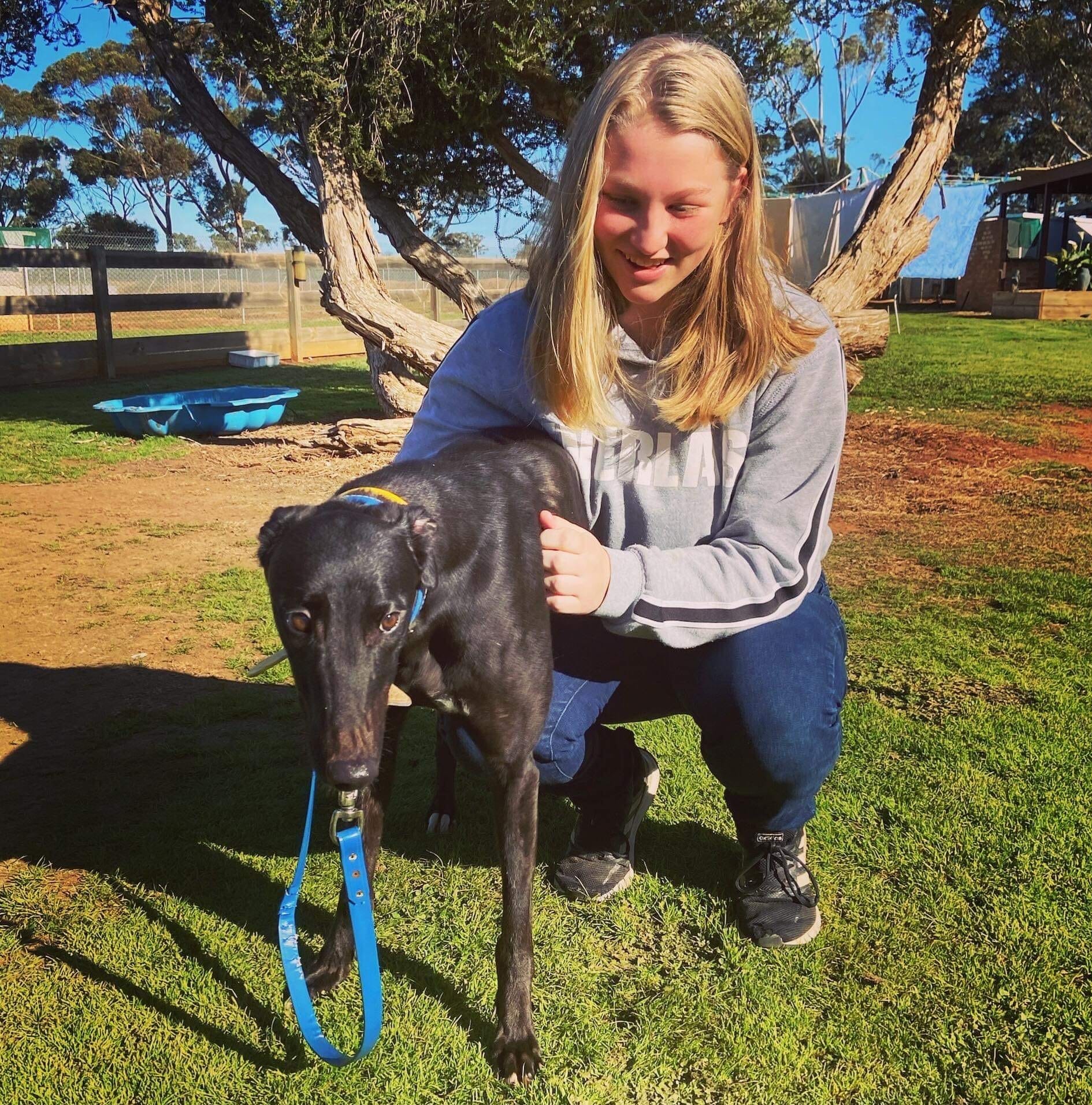 Dog deaths may be victim of contaminated pet food