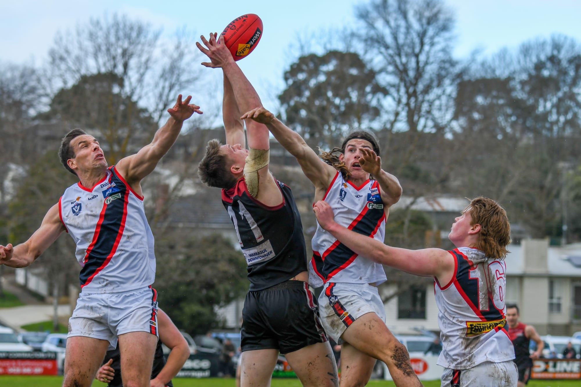 Gulls soar in final round victory