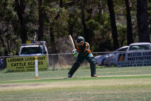 Cricket Div 1 Hallora Vs. Western Park 12.02.2022