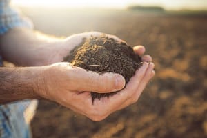Learning about soil carbon