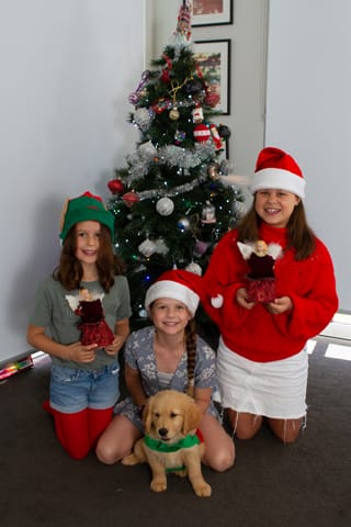 Christmas Photo -  16.12.2021