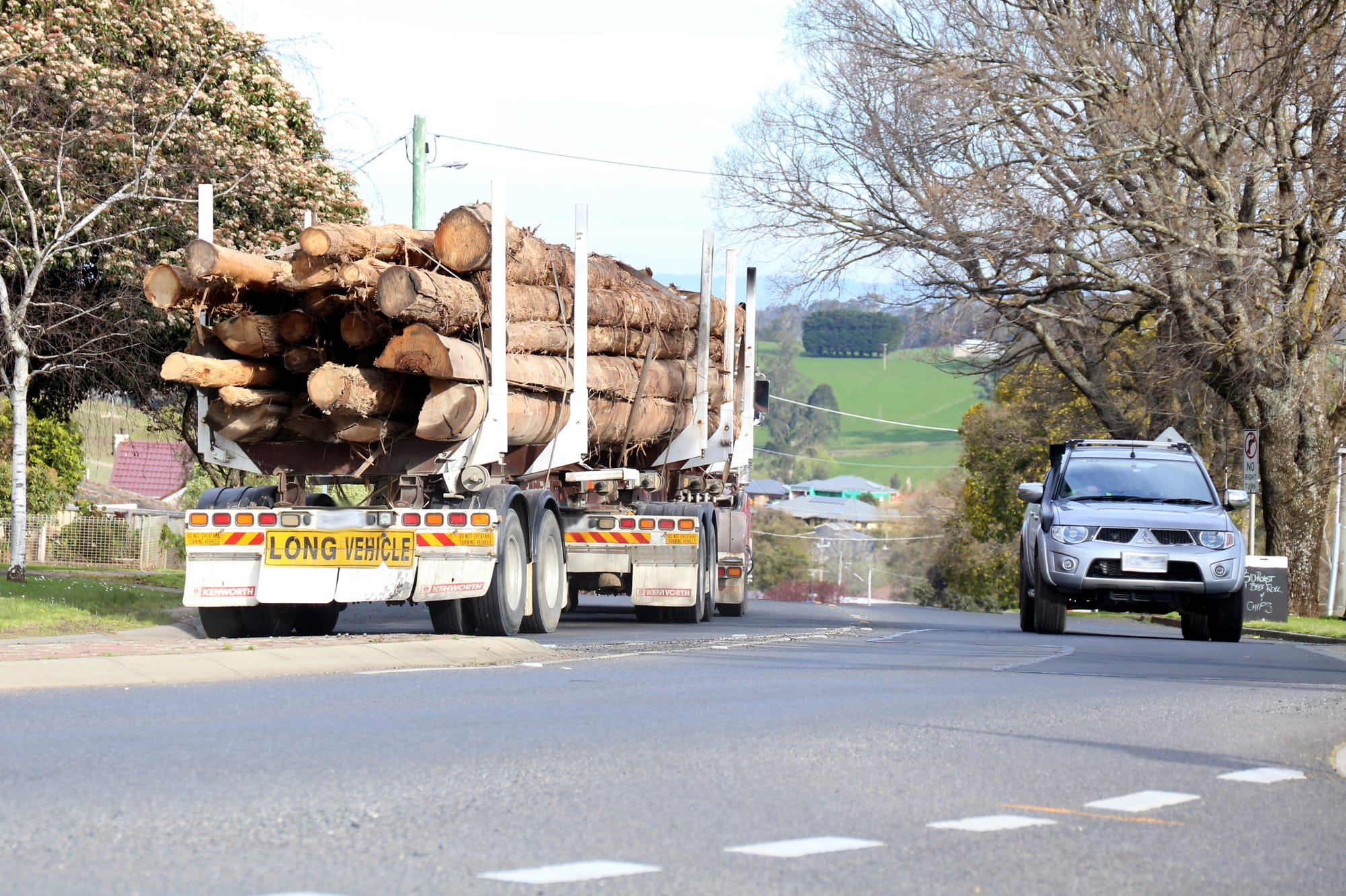 Report recommends forest fire overhaul