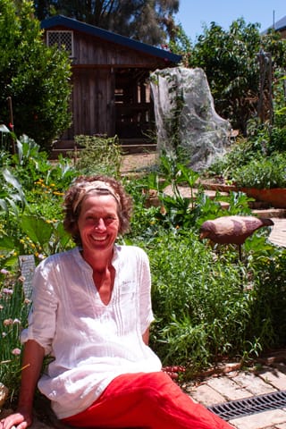 Creative Harvest - 22.01.2022