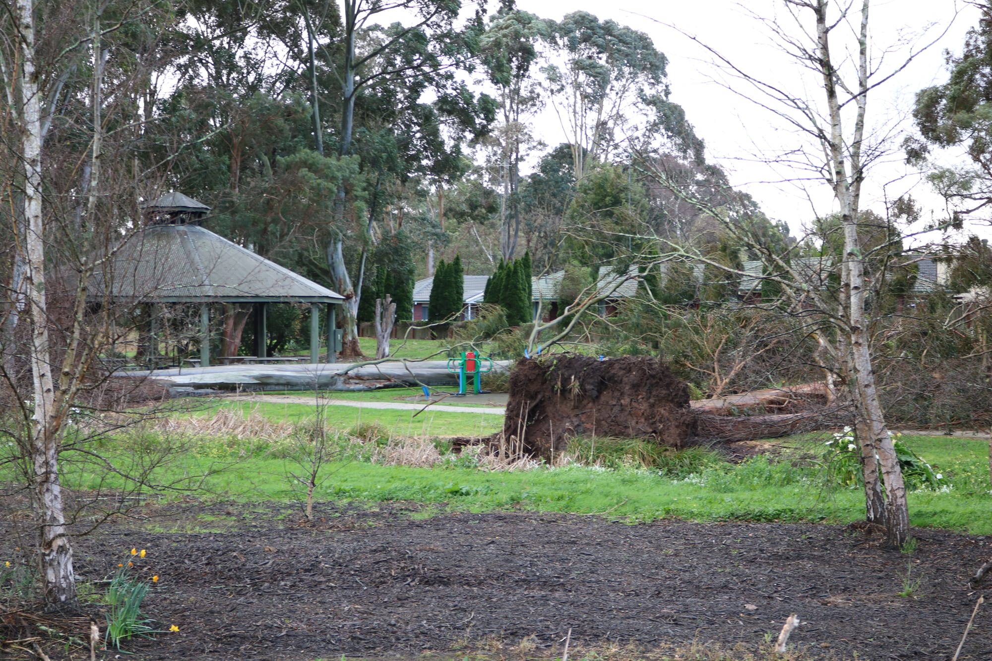 Wind wreaks havoc