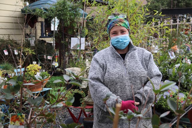 Carol's Nursery - 2021 