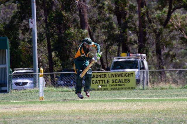 Cricket Div 1 Hallora Vs. Western Park 12.02.2022