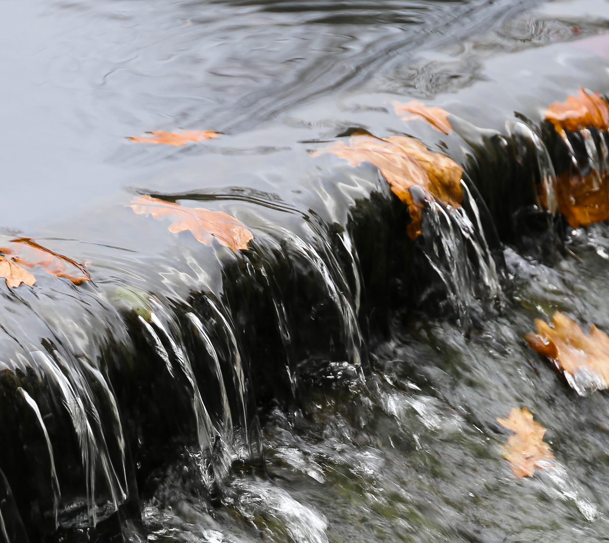 Wetter than normal June boosts average