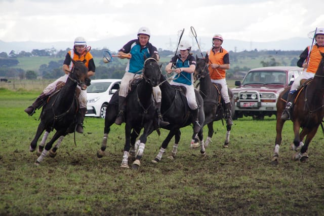 Trafalgar Polox - 2021 