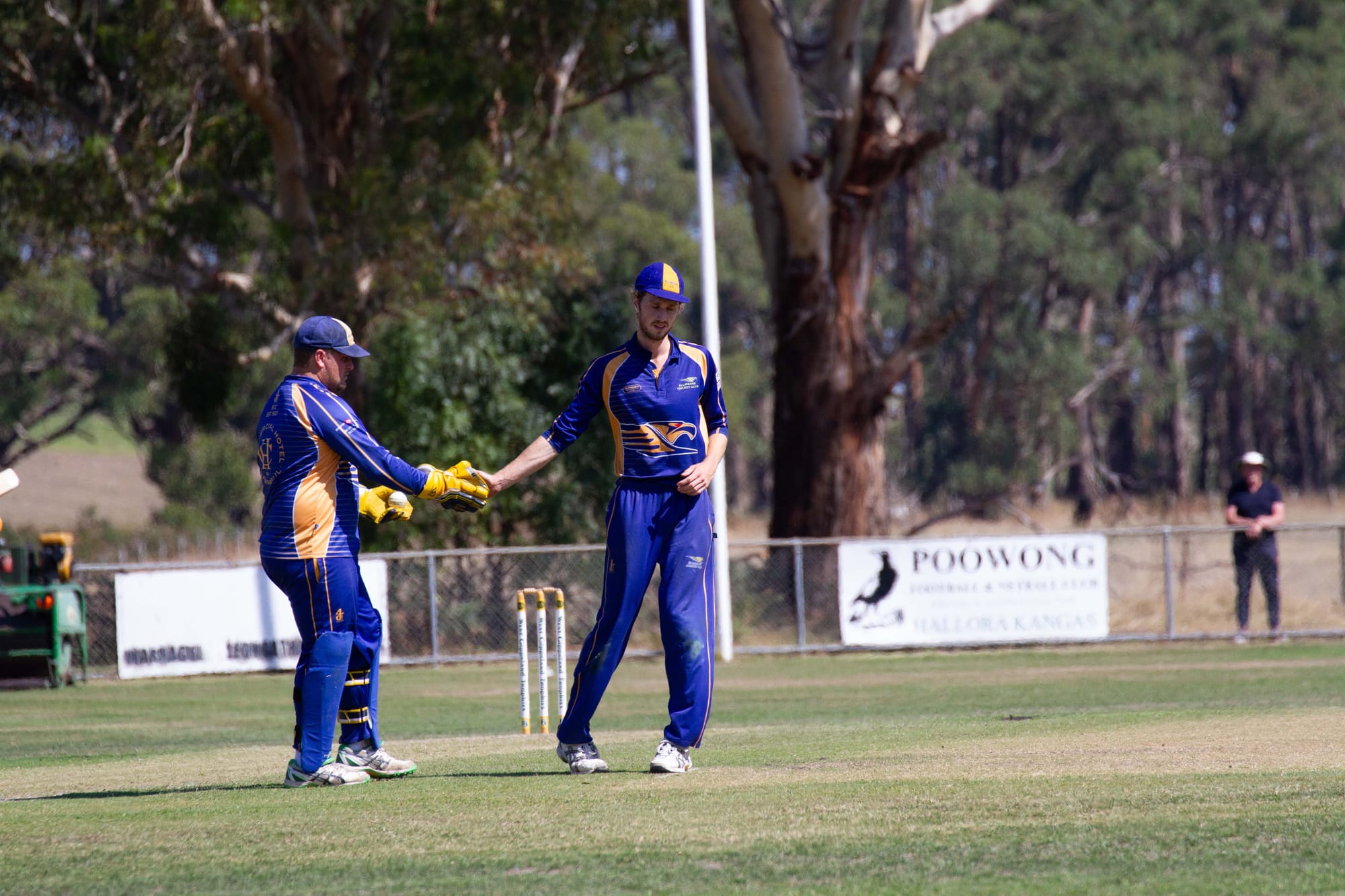 Cricket Div 1 Hallora Vs. Ellinbank - 12.03.2022