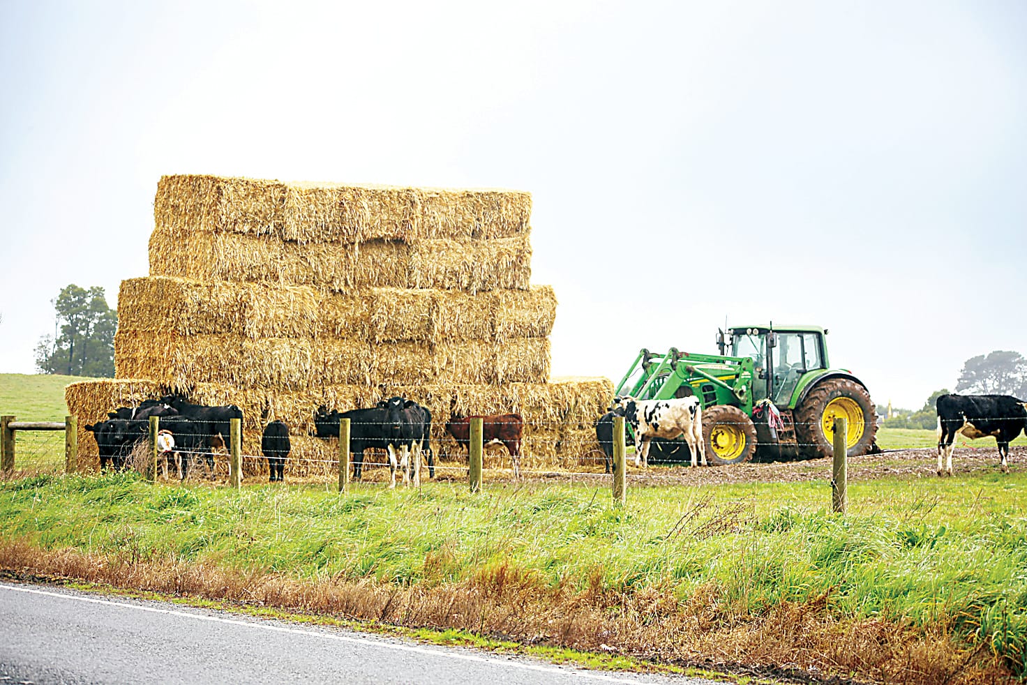 Missed opportunity for farmers