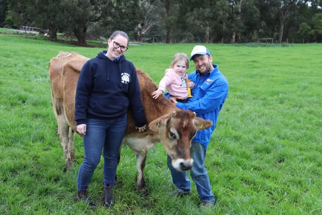 Gippsland Jersey Lebrocq - 03.08.2021 