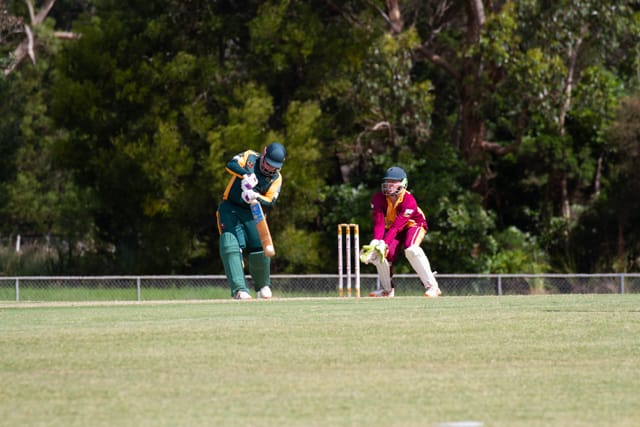 Cricket Div 2 Drouin v Hallora - 27.11.2021