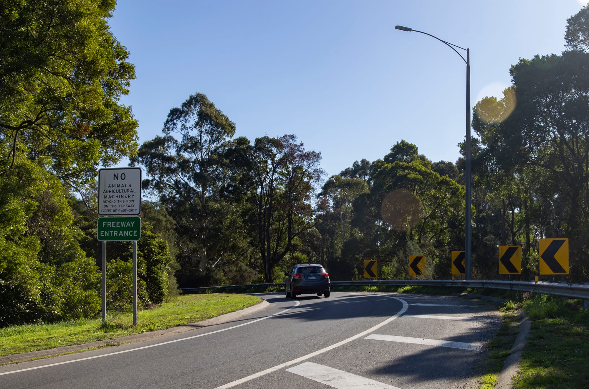 Help prioritise weed and pest control