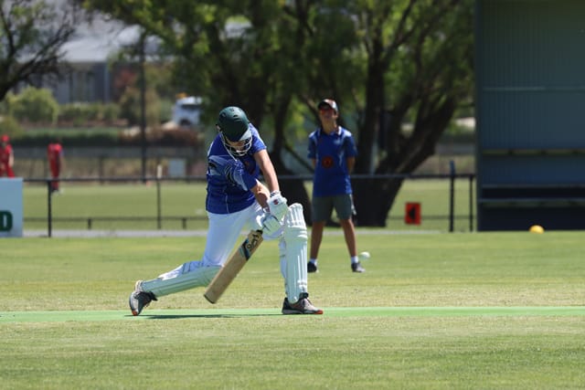 Cricket Div 4 Western Park Vs. Drouin - 05.02.2022