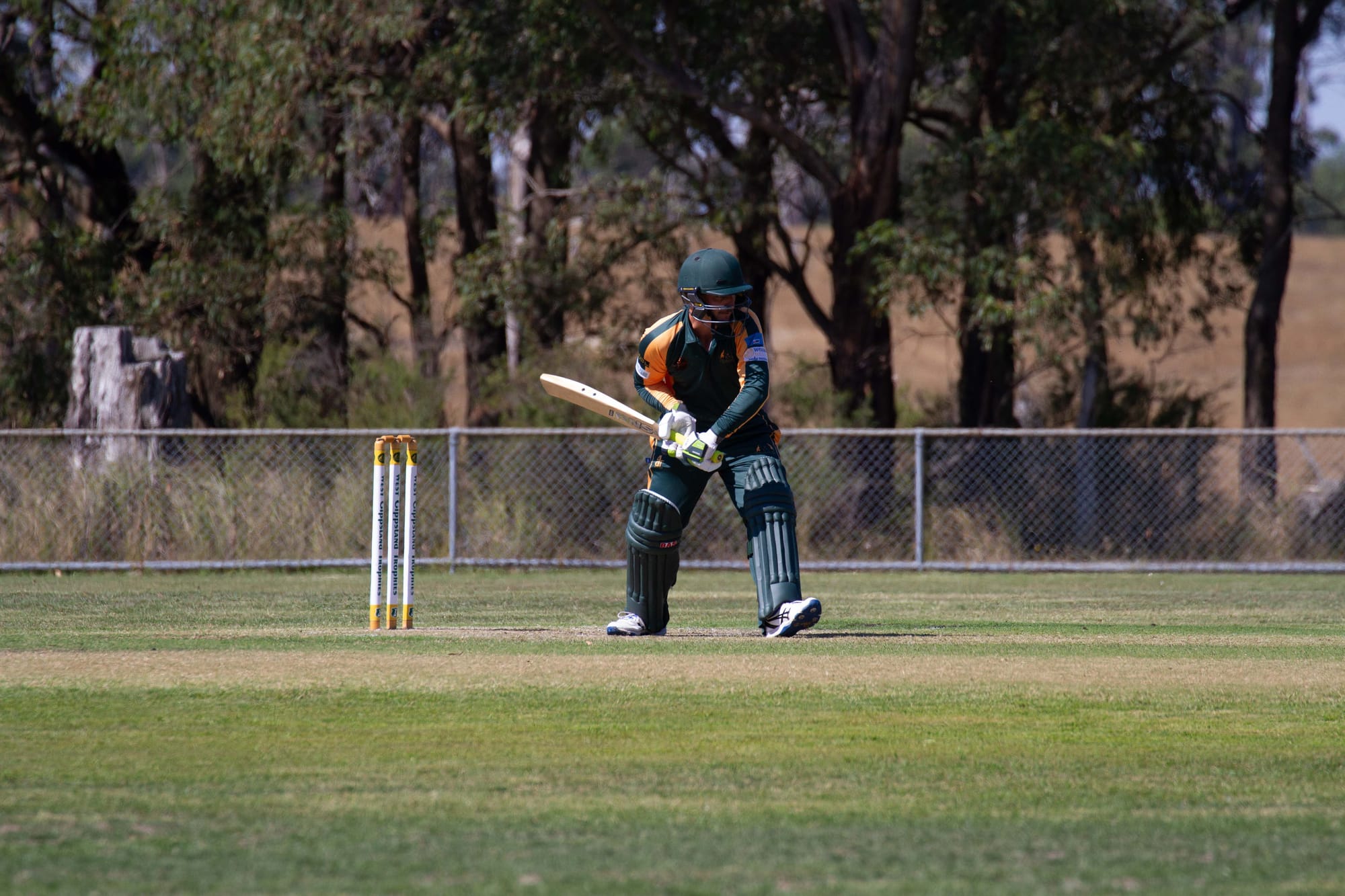 Cricket Div 1 Hallora Vs. Ellinbank - 12.03.2022