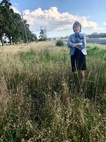 Roadside Vegetation - 21.11.2023