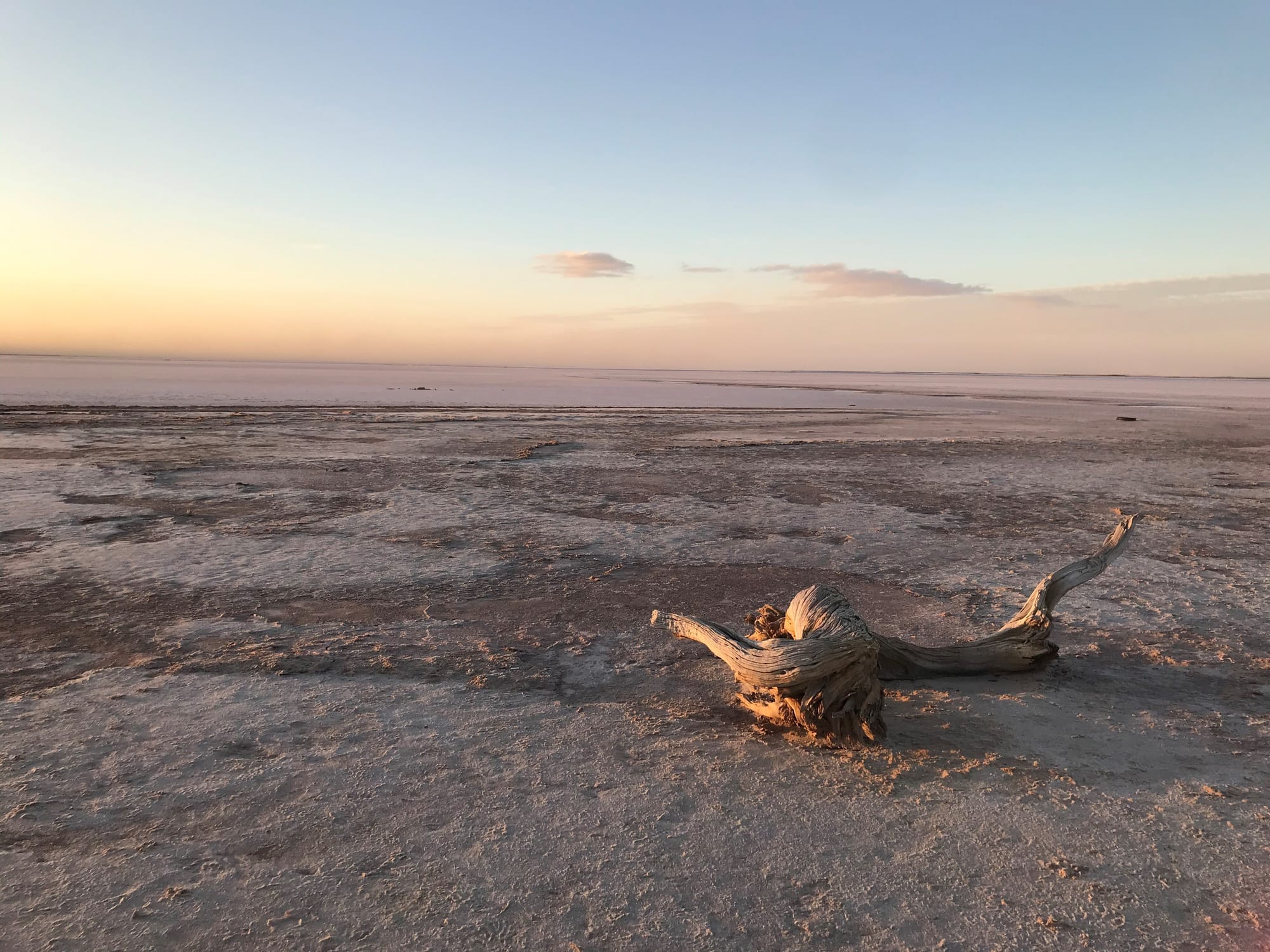 Don't miss out on The Gazette's annual Readers' Photographic Competition!
