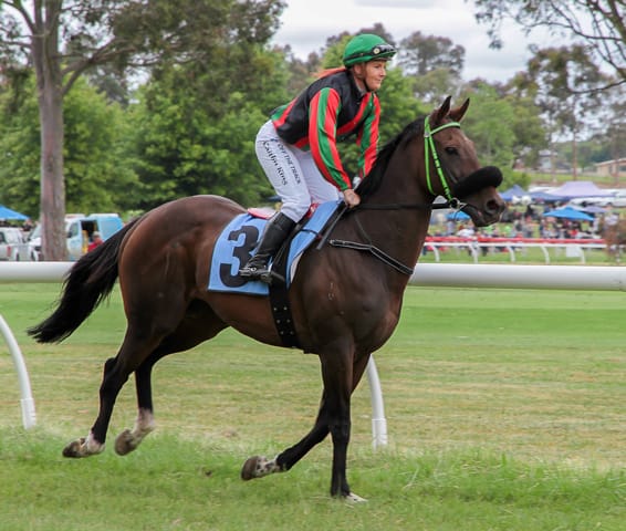 Drouin Boxing Day Races - 26.12.21