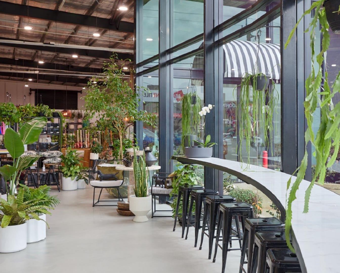 Business barred from having dogs on premises