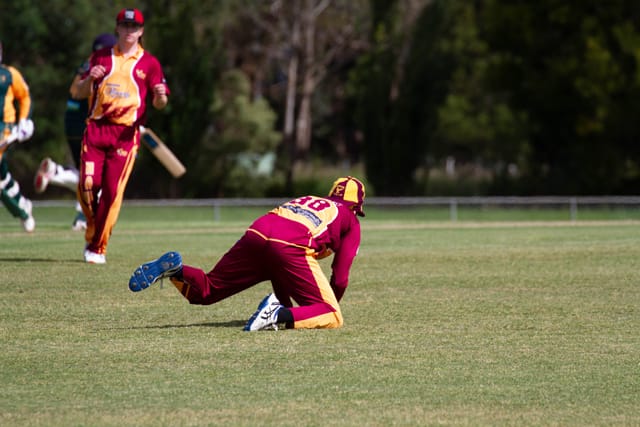 Cricket Div 2 Drouin v Hallora - 27.11.2021