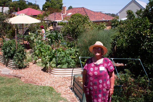 Creative Harvest - 22.01.2022