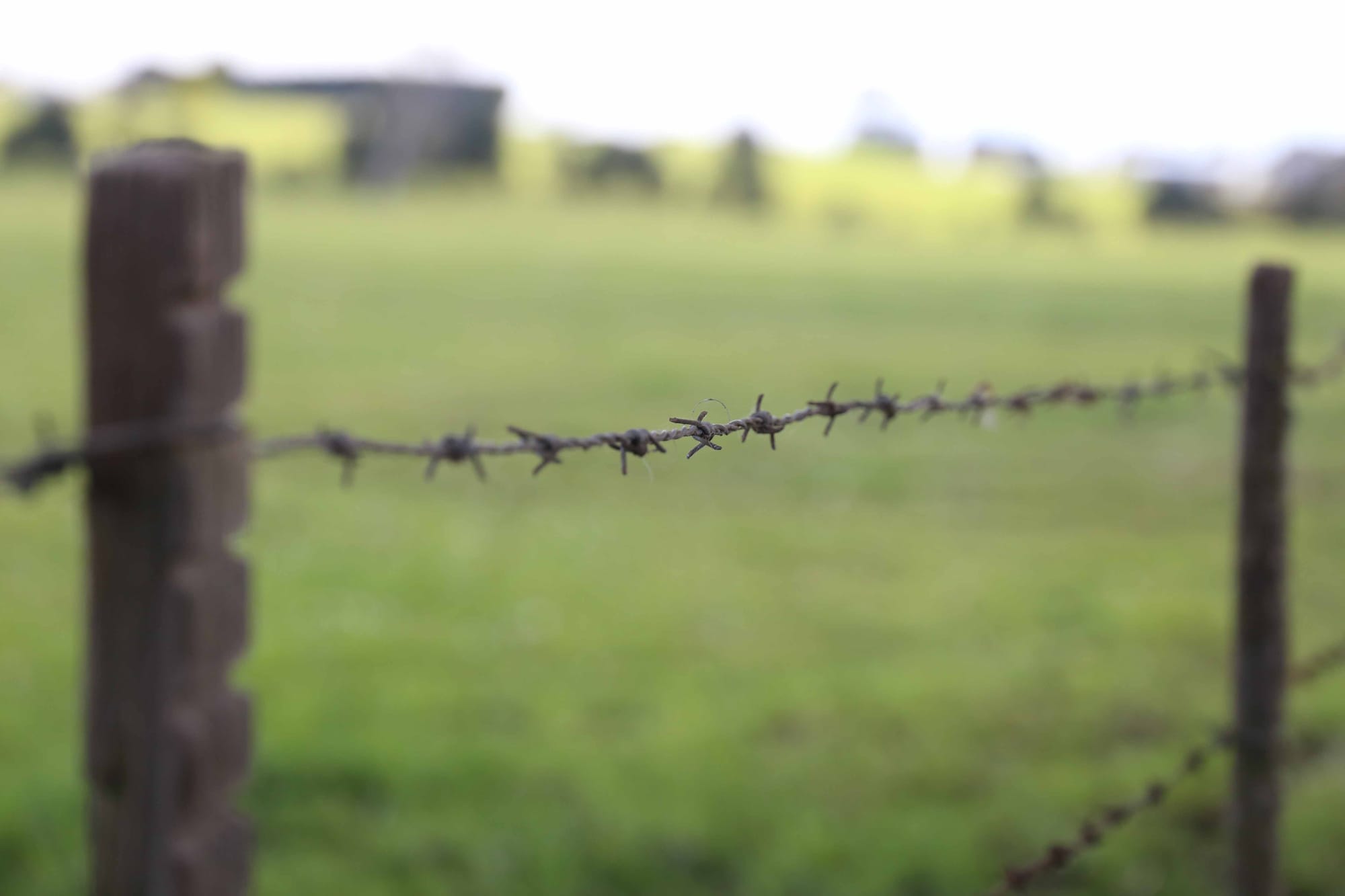 Agent and farmers fined for livestock offences