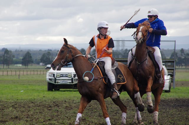 Trafalgar Polox - 2021 