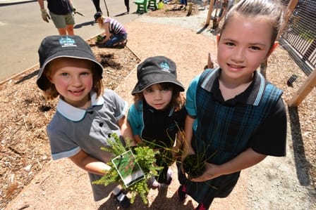 Garden for children