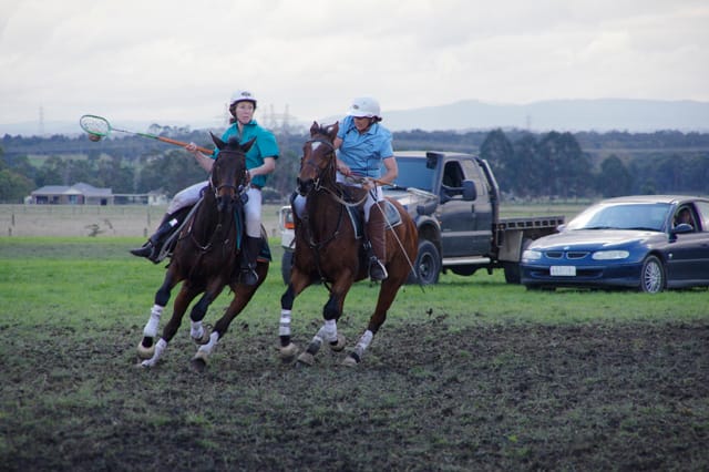 Trafalgar Polox - 2021 