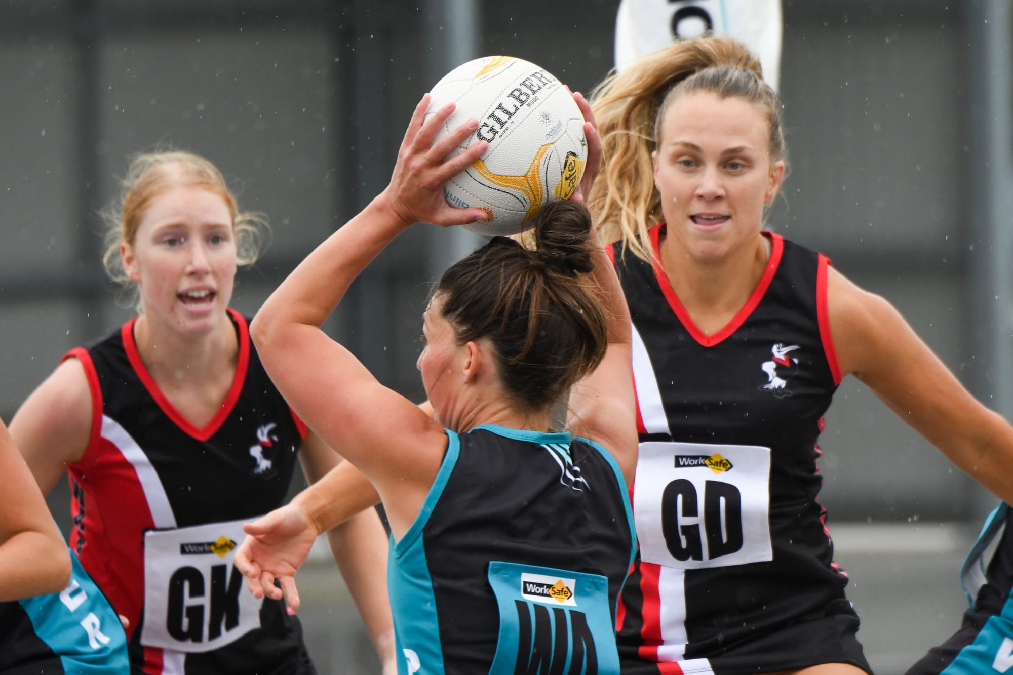 Great start for Gulls