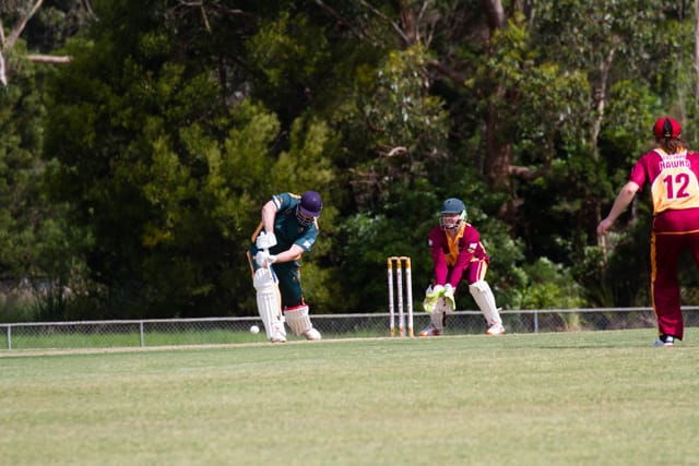 Cricket Div 2 Drouin v Hallora - 27.11.2021