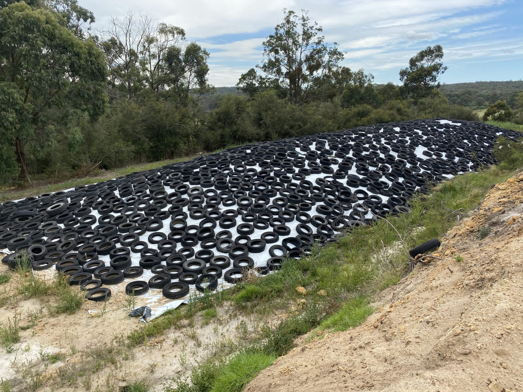 Silage tyre compromise a win for farmers
