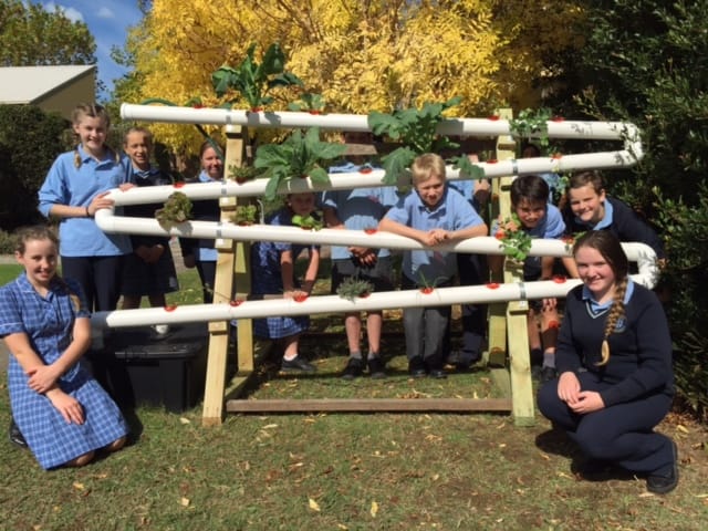 Hydroponic trial bears fruit