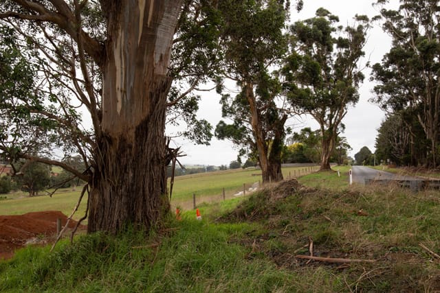 Friends of Warragul Trees - 15042021 