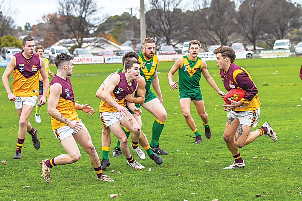 Hawks shown the standard