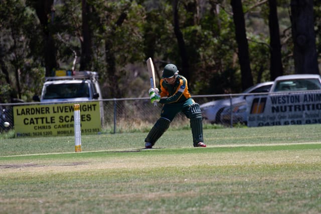 Cricket Div 1 Hallora Vs. Western Park 12.02.2022