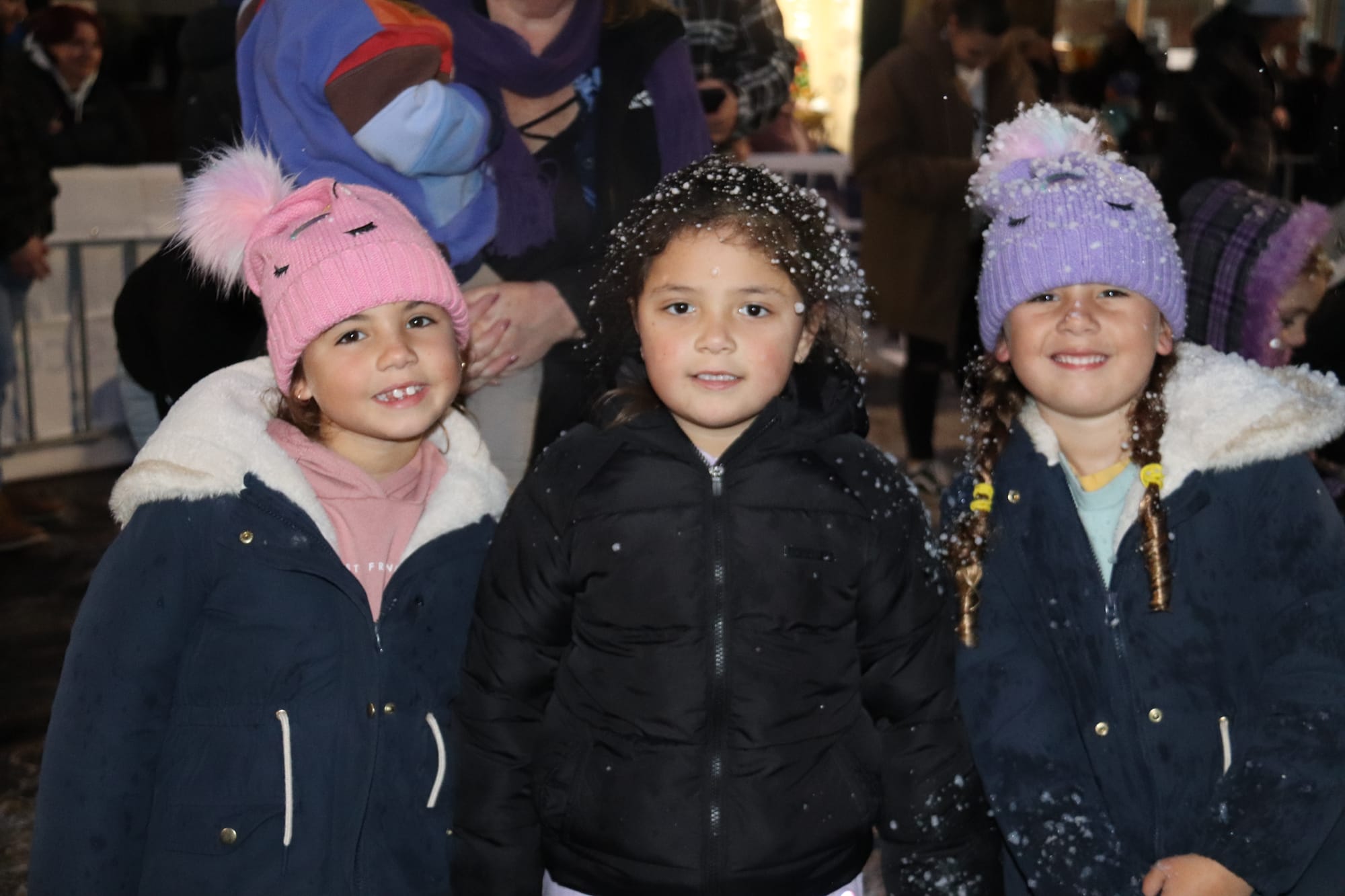 15,000 attend Snowfest