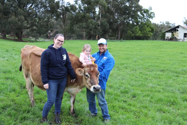 Gippsland Jersey Lebrocq - 03.08.2021