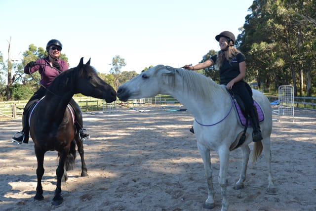 Bridleless Riders - 23.12.2021